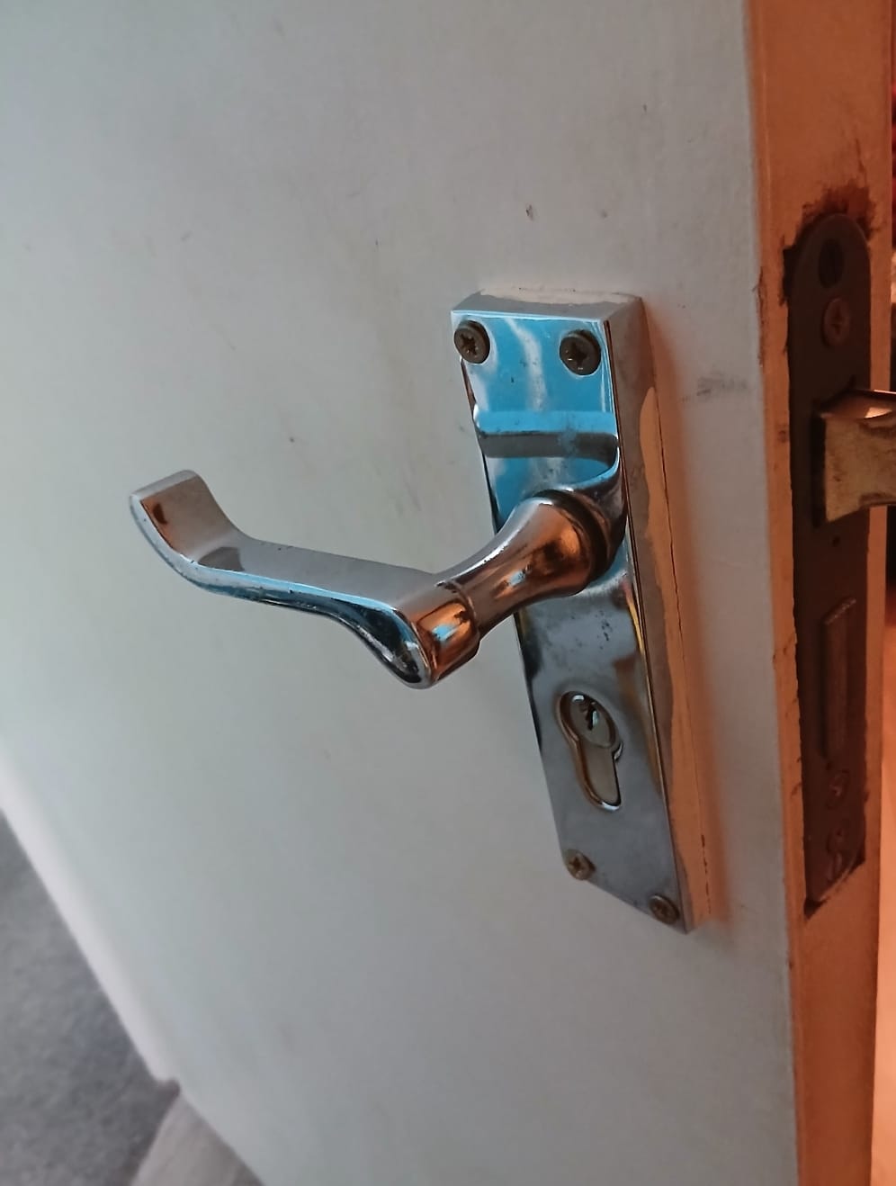 door repair